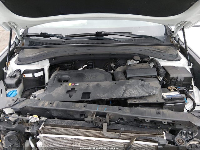Auction sale of the 2019 Hyundai Santa Fe Sel, vin: 5NMS3CAD6KH022994, lot number: 44079787