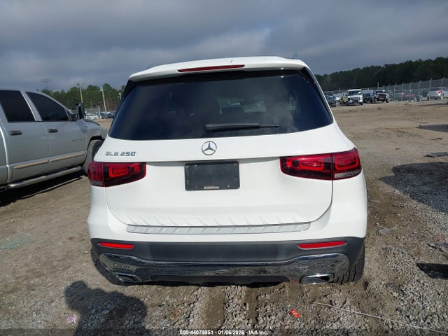 WDC4M4GB8LW007942 Mercedes-Benz GLB 250