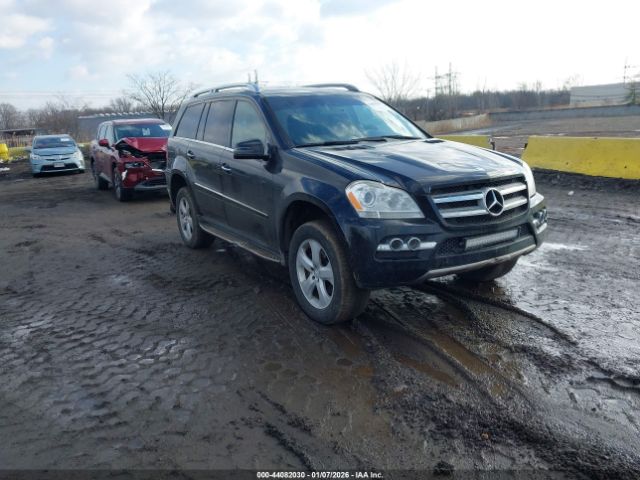 2010 MERCEDES-BENZ GL 450 4JGBF7BE1AA537136