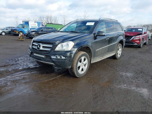 2010 MERCEDES-BENZ GL 450 4JGBF7BE1AA537136 Photo 1
