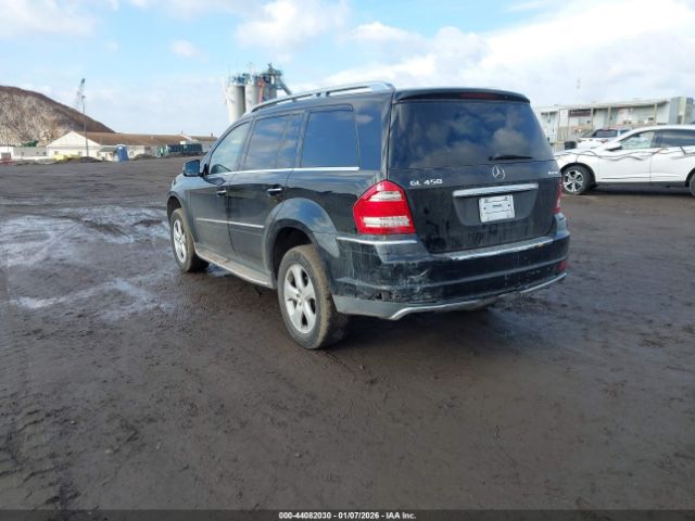2010 MERCEDES-BENZ GL 450 4JGBF7BE1AA537136 Photo 2
