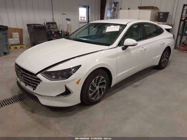 KMHL24JJ4PA080540 Hyundai Sonata Hybrid Blue