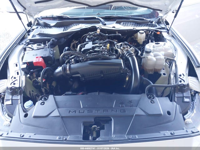 Ford Mustang Ecoboost Fastback 2025 1FA6P8TH7S5104230 Image 10