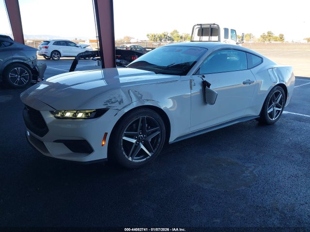 Ford Mustang Ecoboost Fastback 2025 1FA6P8TH7S5104230 Image 2