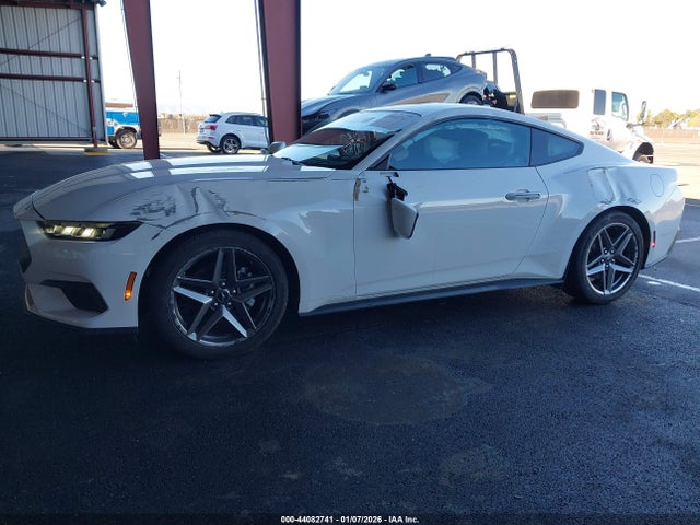 Ford Mustang Ecoboost Fastback 2025 1FA6P8TH7S5104230 Image 6