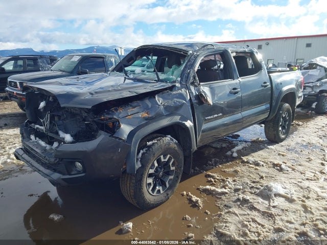 3TMCZ5ANXKM261100 Toyota Tacoma Trd Off Road