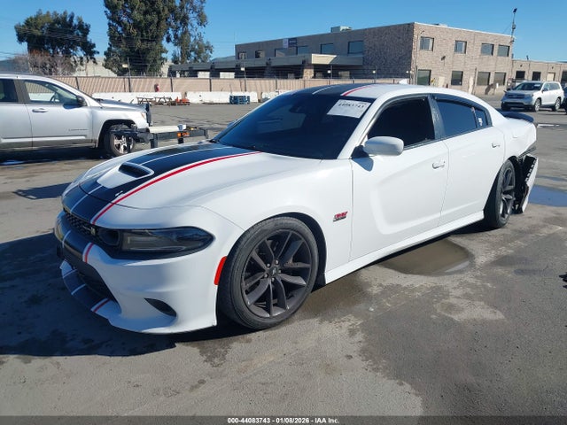 Dodge Charger Scat Pack Rwd 2019 2C3CDXGJ6KH753902 Image 2