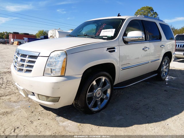 2010 CADILLAC ESCALADE 1GYUKAEF3AR100972 Photo 1