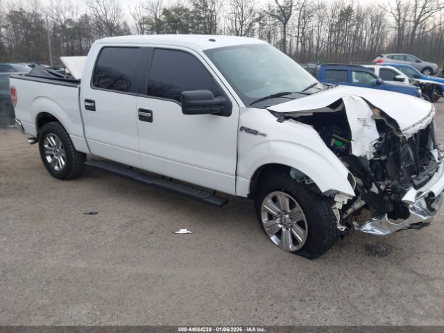 2010 FORD F-150 1FTFW1CV5AFA08910