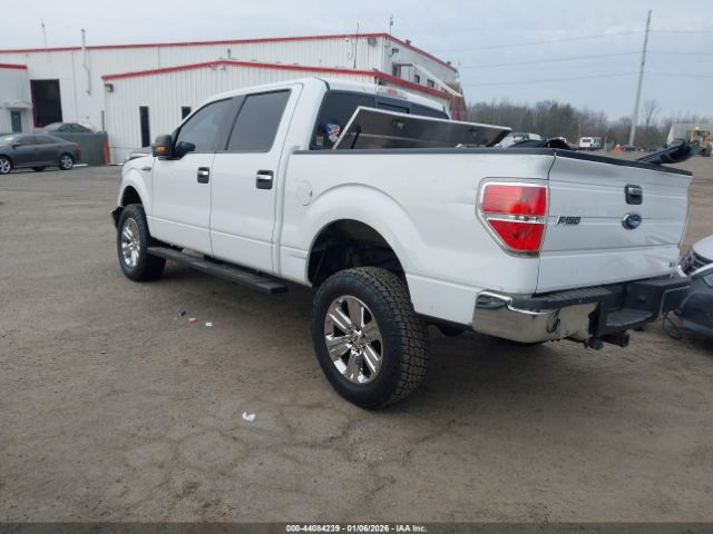 2010 FORD F-150 1FTFW1CV5AFA08910 Photo 2