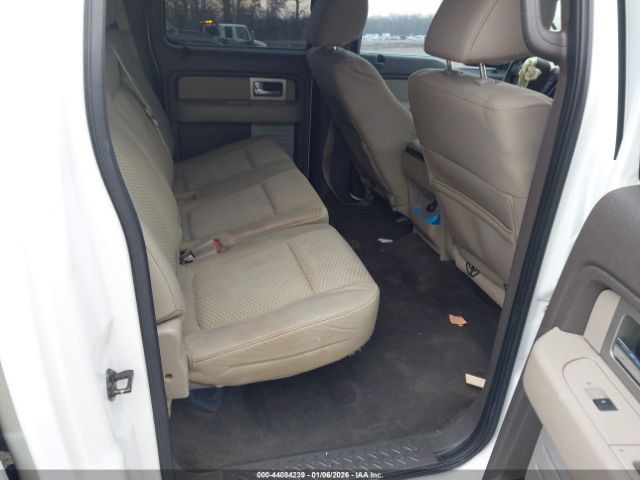 2010 FORD F-150 1FTFW1CV5AFA08910 Photo 7