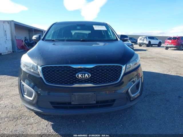2017 KIA SORENTO 5XYPG4A3XHG217913 Photo 5