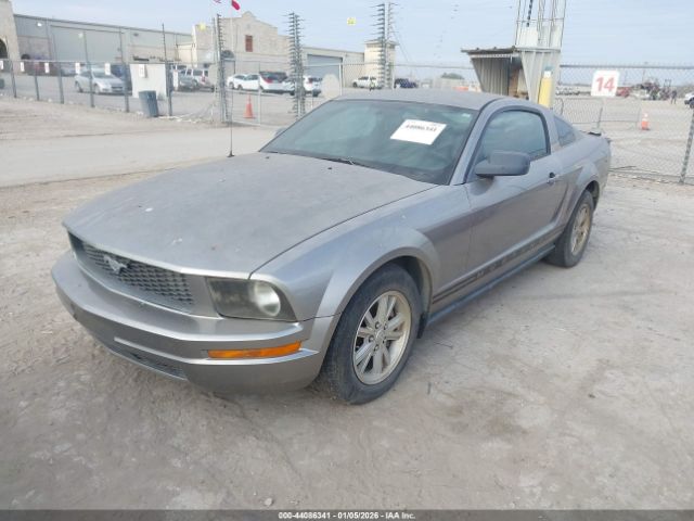 2008 FORD MUSTANG 1ZVHT80N185135245 Photo 1