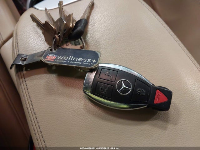 2011 MERCEDES-BENZ GL 550 4JGBF8GE9BA667682 Photo 10