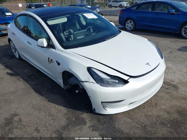 2021 TESLA MODEL 3 5YJ3E1EB2MF101000 Photo 5