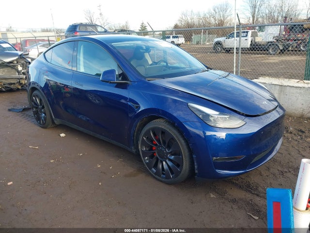 2023 TESLA MODEL Y 7SAYGDEFXPF905766 Photo 0