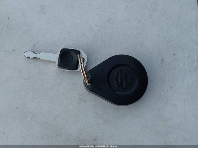 2023 HARLEY-DAVIDSON FXLRST 1HD1YXZ22PB050485 Photo 10