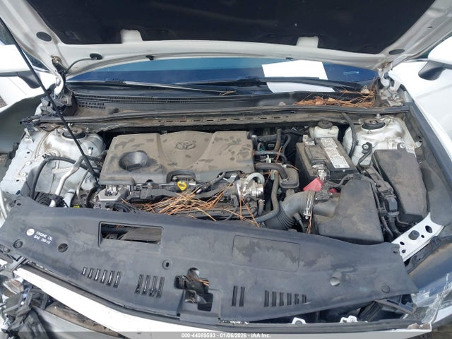 4T1C11AK8MU616670 Toyota CAMRY LE