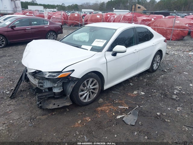 4T1C11AK8MU616670 Toyota CAMRY LE