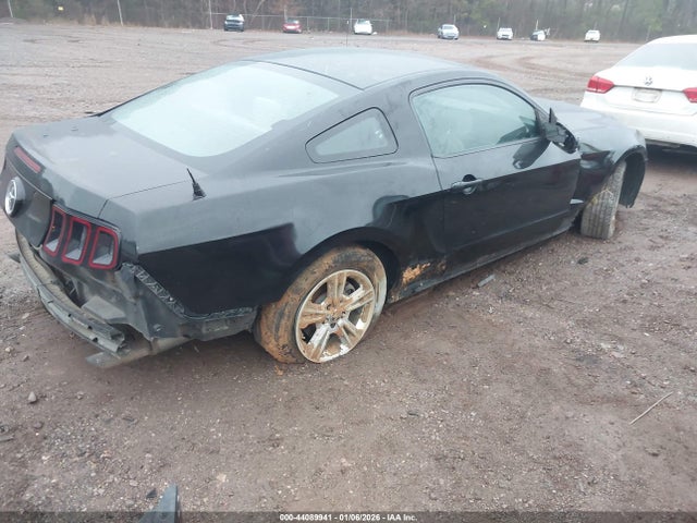 2013 FORD MUSTANG 1ZVBP8AM7D5207365 Photo 3