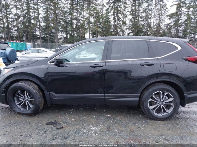 2HKRW2H83LH667955 Honda Cr-v Awd Ex-l