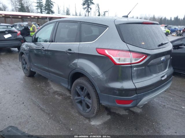 2016 FORD ESCAPE 1FMCU0G79GUC91732 Photo 2