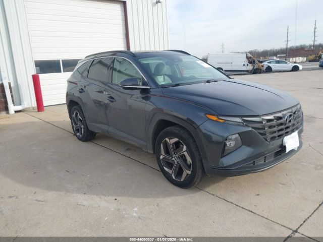 2024 HYUNDAI TUCSON 5NMJECDE9RH346672