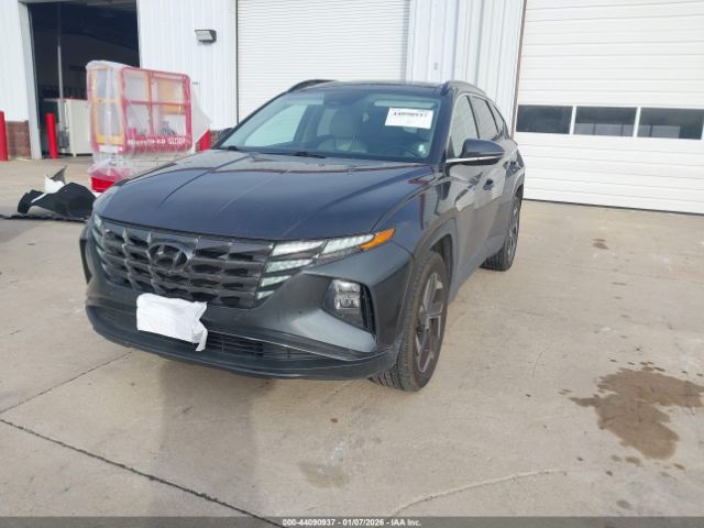 2024 HYUNDAI TUCSON 5NMJECDE9RH346672 Photo 5