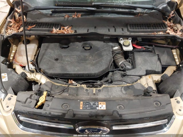 2014 FORD ESCAPE 1FMCU0J92EUC10805 Photo 9