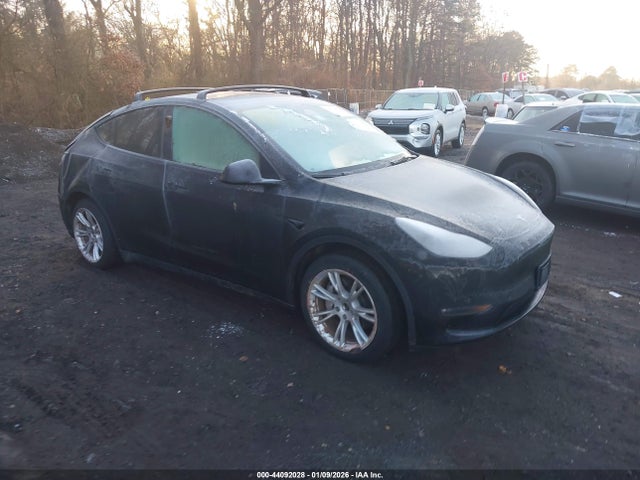 2023 TESLA MODEL Y 7SAYGDEE1PF853810 Photo 0