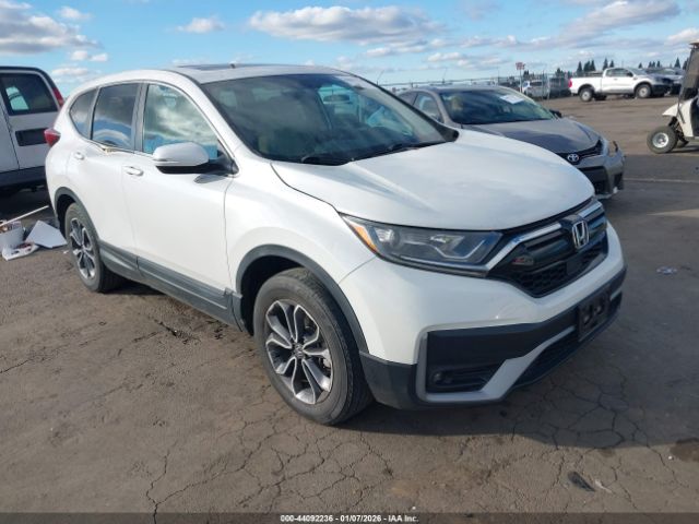 2020 HONDA CR-V 5J6RW2H59LL029088