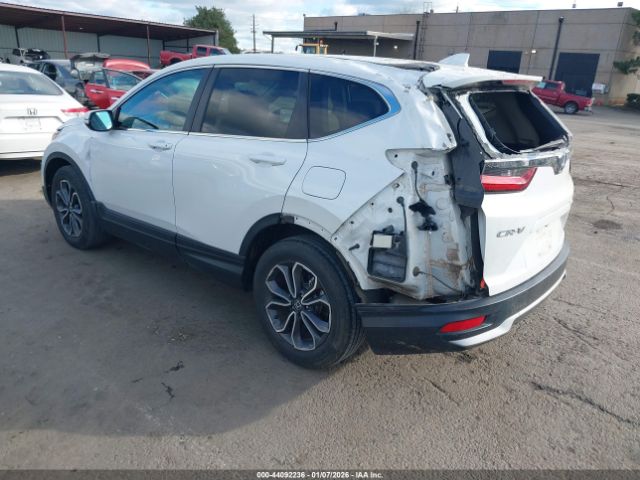 2020 HONDA CR-V 5J6RW2H59LL029088 Photo 2