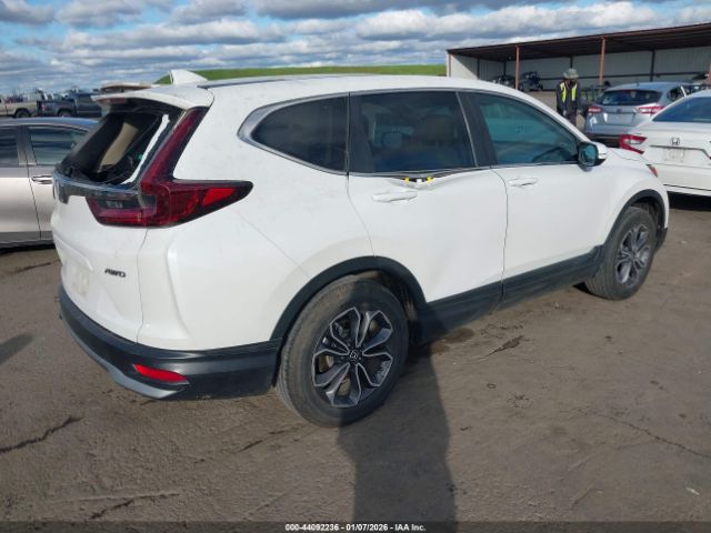 2020 HONDA CR-V 5J6RW2H59LL029088 Photo 3