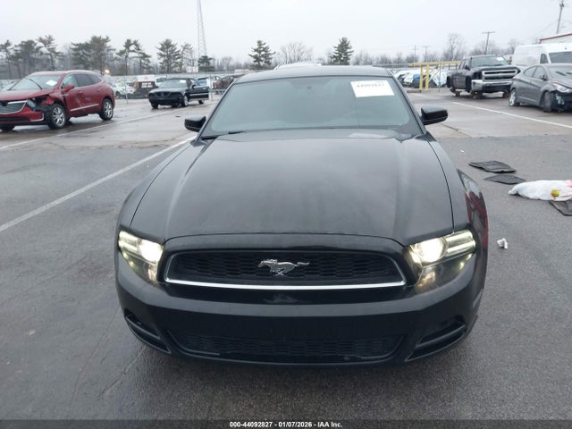 1ZVBP8AMXE5231175 Ford Mustang V6