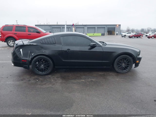 1ZVBP8AMXE5231175 Ford Mustang V6