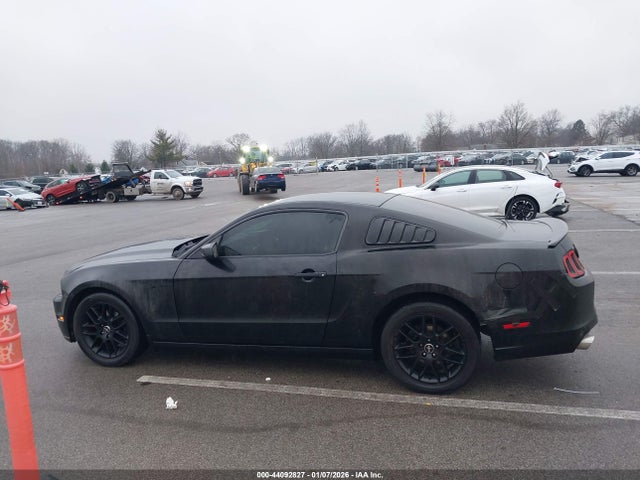 1ZVBP8AMXE5231175 Ford Mustang V6