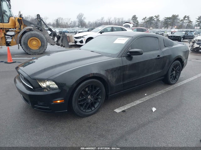 1ZVBP8AMXE5231175 Ford Mustang V6