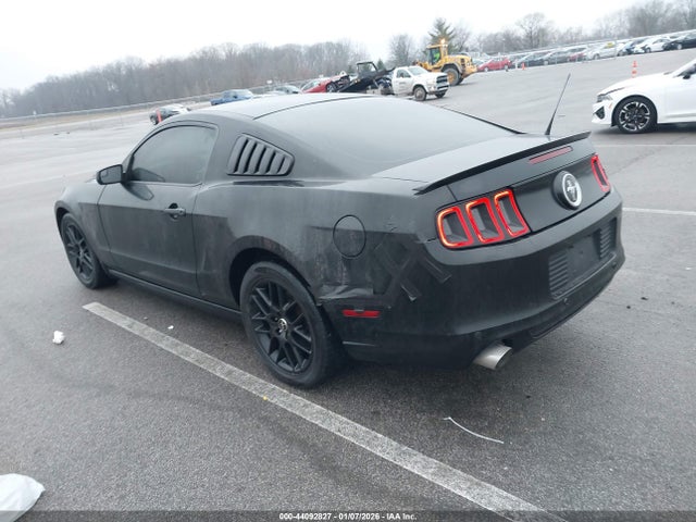 1ZVBP8AMXE5231175 Ford Mustang V6