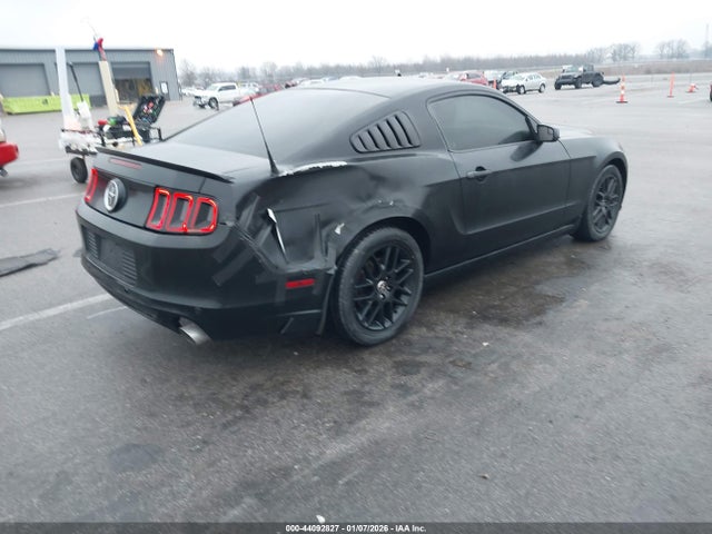 1ZVBP8AMXE5231175 Ford Mustang V6