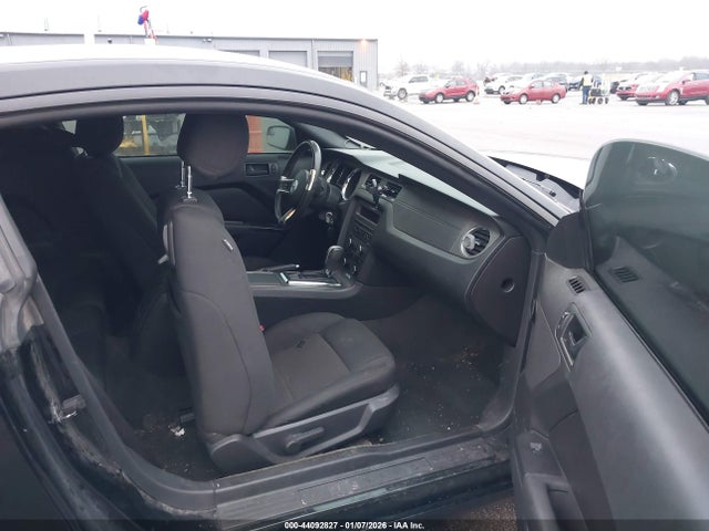 1ZVBP8AMXE5231175 Ford Mustang V6