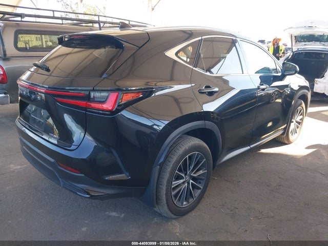 2024 LEXUS NX 250 2T2GDCAZ5RC015769 Photo 3