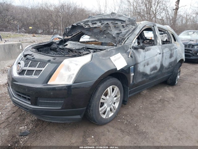 2011 CADILLAC SRX 3GYFNAEY0BS512346 Photo 1
