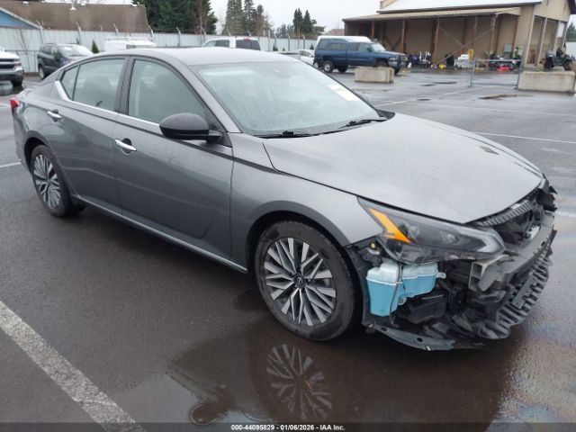 2024 NISSAN ALTIMA 1N4BL4DV3RN311599