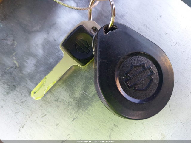 2021 HARLEY-DAVIDSON FXLRS 1HD1YWK27MB068884 Photo 10