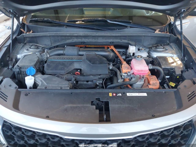 KNDRHDLG7P5130662 KIA Sorento Hybrid Ex