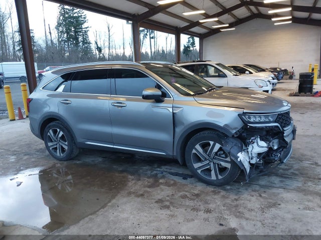 KNDRHDLG7P5130662 KIA Sorento Hybrid Ex