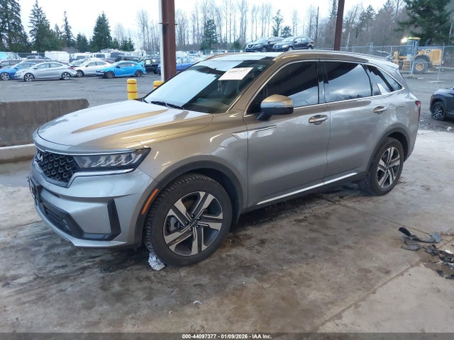 KNDRHDLG7P5130662 KIA Sorento Hybrid Ex