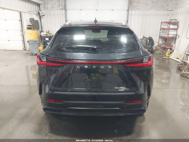 JTJADCEZ3N2001833 Lexus NX 250