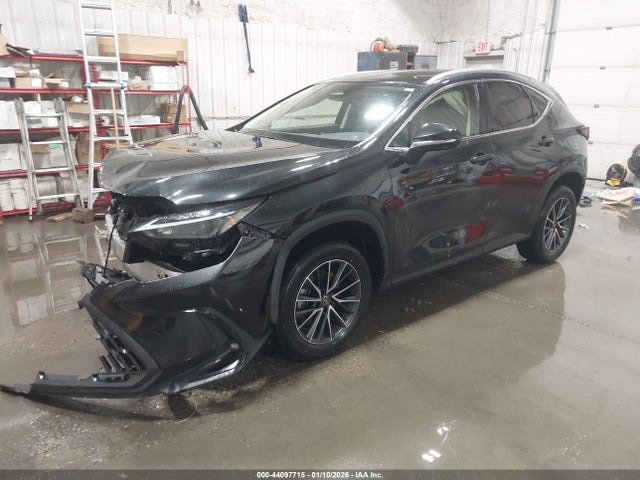 JTJADCEZ3N2001833 Lexus NX 250