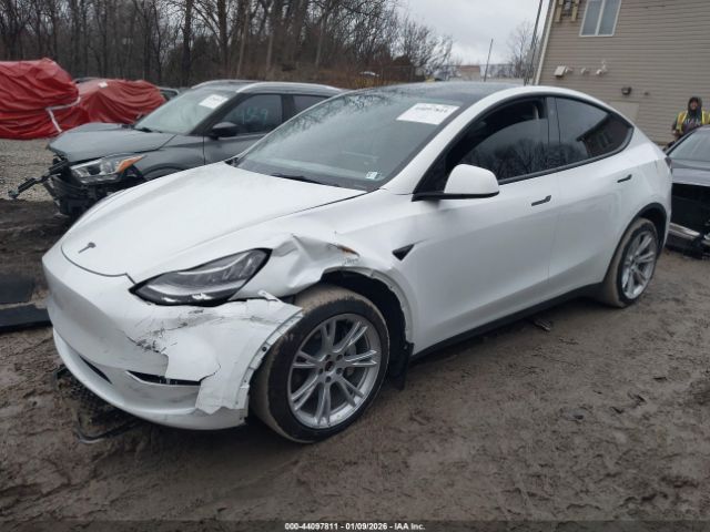 2023 TESLA MODEL Y 7SAYGDEE9PF602906 Photo 1